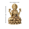 Brass Goddess Lakshmi Idol on Lotus