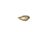 BRASS BRAMMA MUHURTHA DIYA